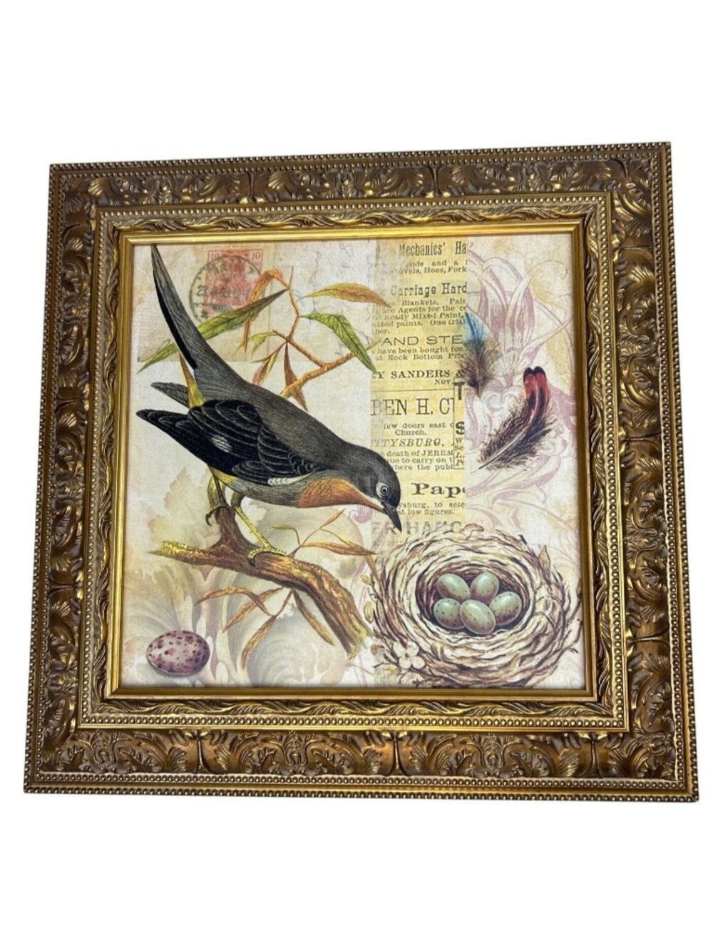 Framed Vintage Style Bird & Nest Print Ornate Gold Frame Wall Art Decor Cottage